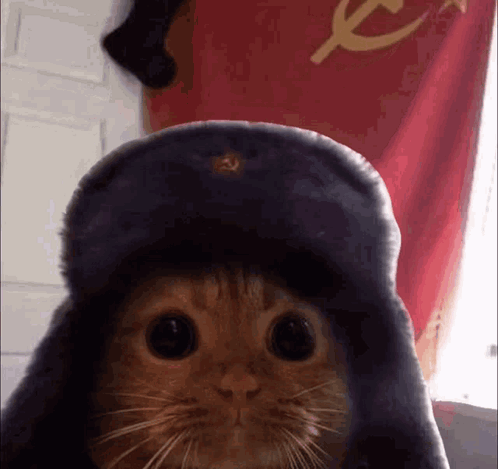 Ussr Cute Communist Kitty GIF