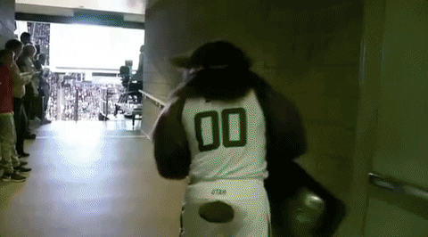 Utah Jazz Mascot Slide From Bleachers GIF