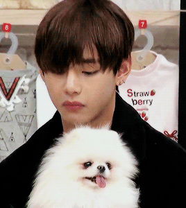 V Is Teasing His Dog GIF