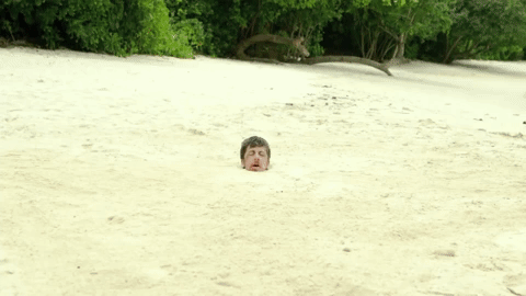 Vaas Montenegro Beach GIF