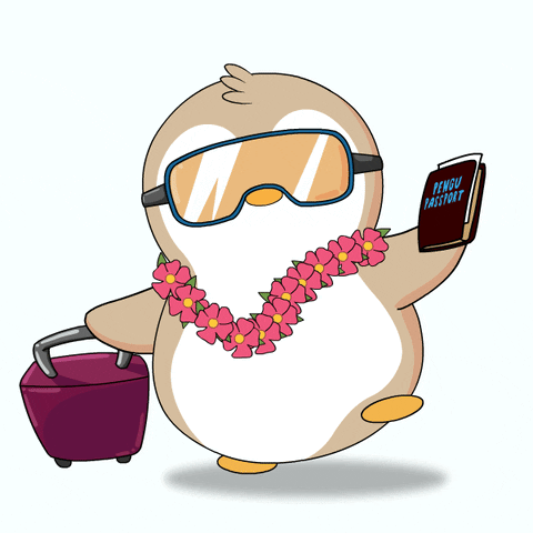 Vacation Mode Pudgy Aviator Glasses GIF
