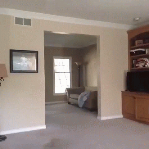 Vacuum Cleaner Chasing A Guy GIF