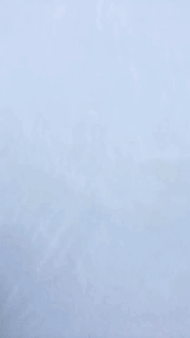 Valentine Day Heart Made Of Snow GIF