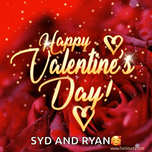 Valentine's Day Greeting Card With Red Rose