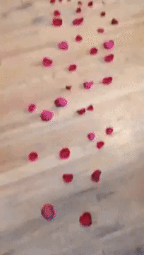 Valentine's Surprise T-rex Bed GIF