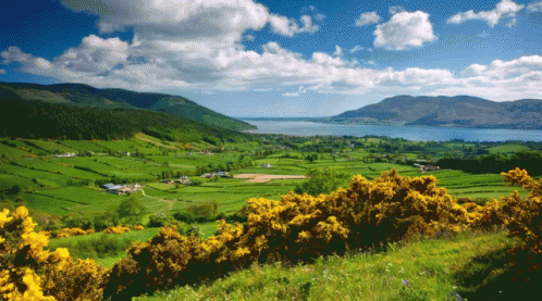 Valley And Wetland In Ireland GIF