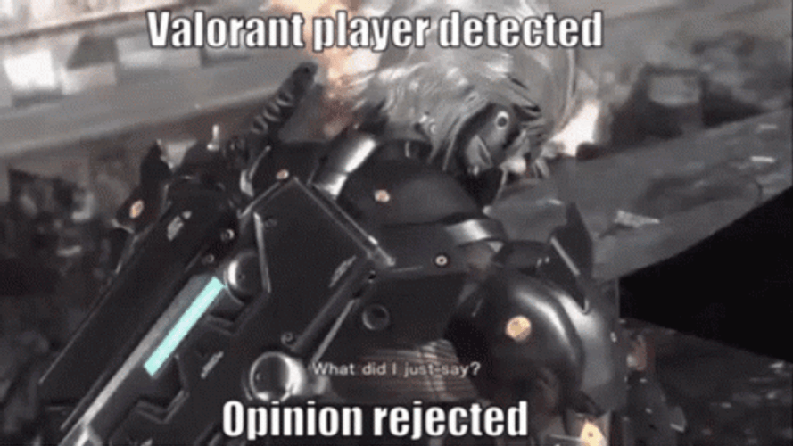 Valorant Opinion Rejected GIF