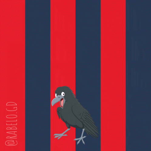 Vamos Ciclon Cartoon Bird GIF