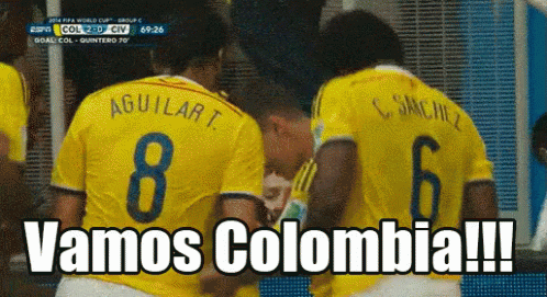 Vamos Colombia Football Team GIF
