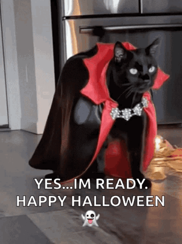 Vampire Halloween Costume El Gato Meme GIF