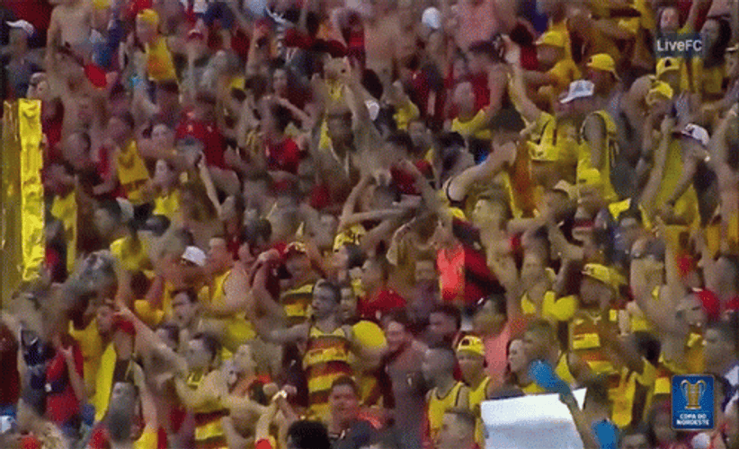 Vancouver Whitecaps Crowd Cheering GIF
