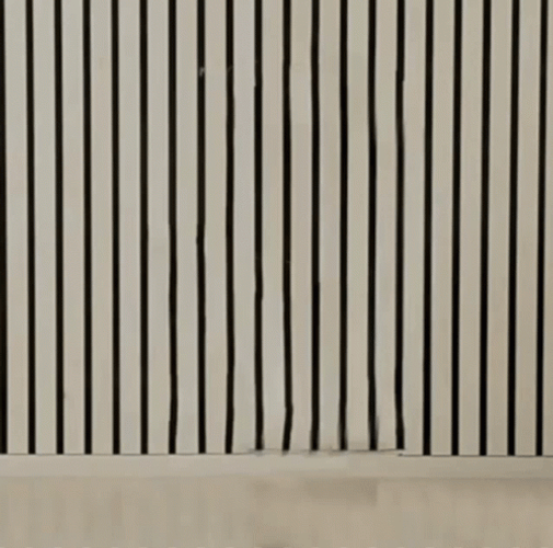 Vanishing Ellsworth Kelly Driving Wambulance GIF