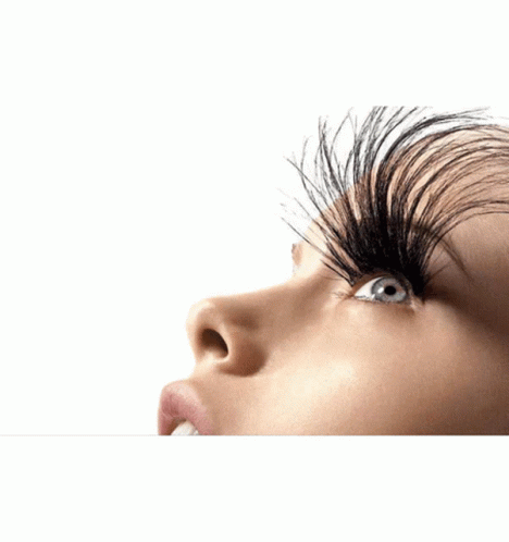 Variety Of Eyelashes GIF