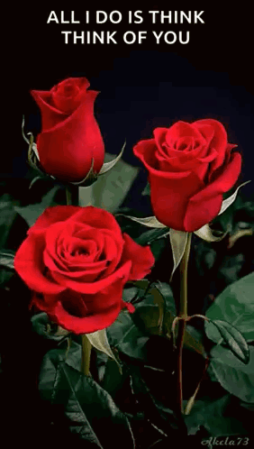 Vase Filled With Colorful Roses For You