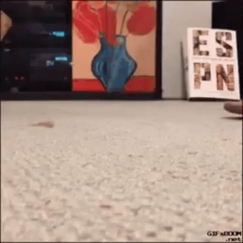 Vase of Flowers Painting Next to Sign Saying Es Pn