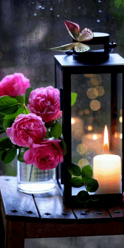Vase Of Pink Roses With Lantern And Lit Candle GIF