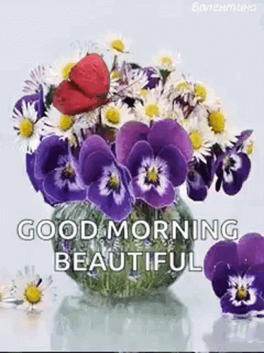 Vase with Purple Flowers Daisies Good Morning Beautiful