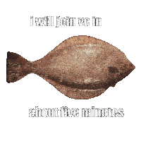 Vc Fish Spinning Fish Sticker GIF