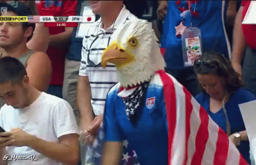 American Fan Wearing America Eagle Suit GIF