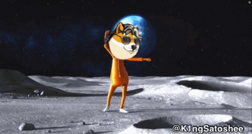 Vector 498 X 266 Gif GIF