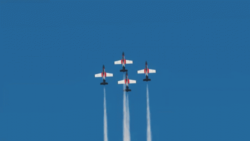 Vector 498 X 280 Gif GIF