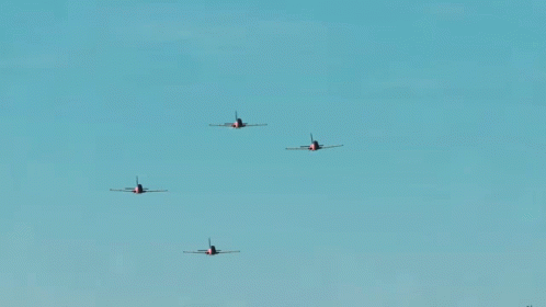 Vector 498 X 280 Gif GIF