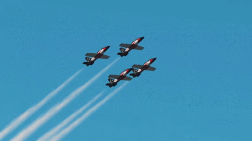 Vector 498 X 280 Gif GIF