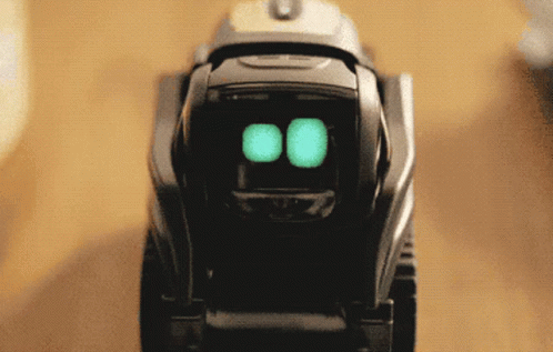 Vector 498 X 317 Gif GIF