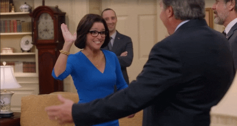 Veep Selena Meyer High Five GIF
