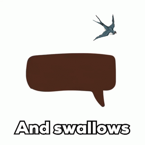 Vegan And Swallow Birds GIF