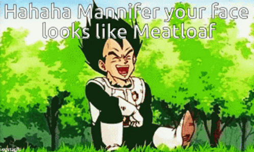 Vegeta Laughing Your Face Looks Like Meatloaf GIF
