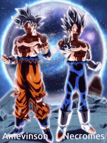 Vegeta Ultra Ego And Ultra Instinct Goku Standing GIF