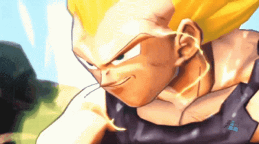 Vegeta Vs. Goku Super Saiyan GIF