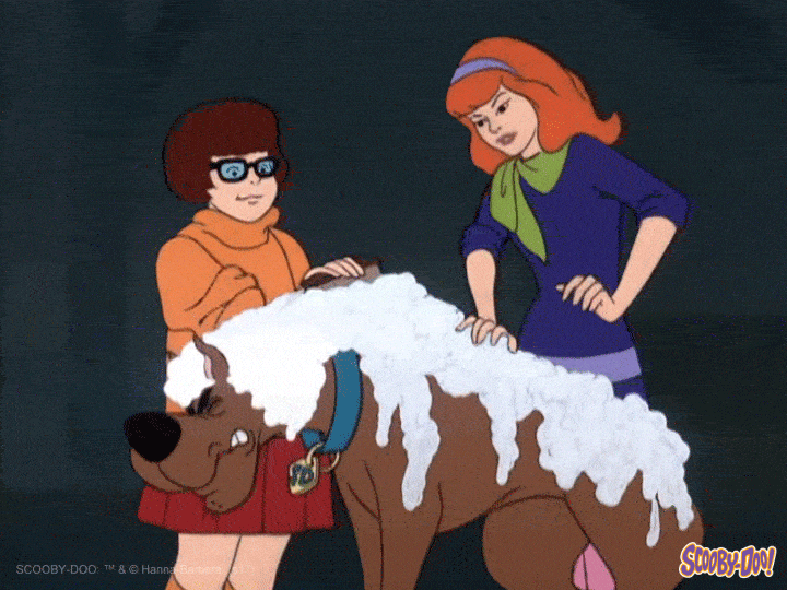 Velma Daphne Bath Time Scooby GIF