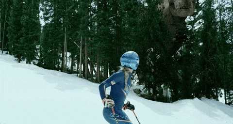 Velociraptor Appeared In Snow Woman GIF