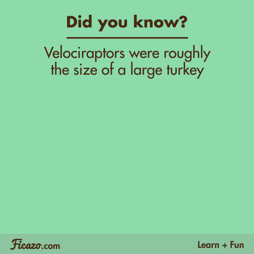 Velociraptor Did You Know Trivia GIF