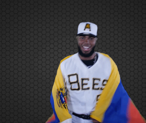 Venezuela Bees Player GIF