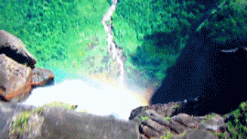 Venezuela Falls View GIF