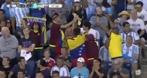 Venezuela Fan People GIF