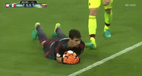 Venezuela Goal Keeper GIF