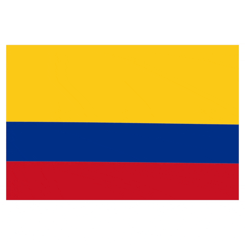 Venezuela Neutral Flag GIF