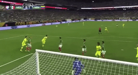 Venezuela Player And Coach GIF