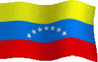 Venezuela Rough Flag GIF