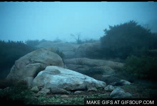 Venezuela Under The Rock GIF