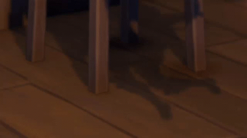 Venti Introduction Gameplay GIF