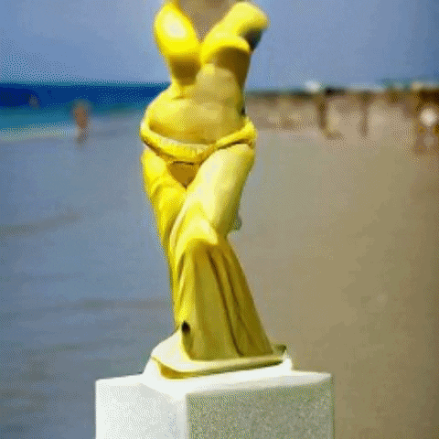 Venus De Milo In Different Beaches GIF