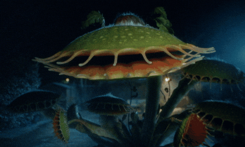 Venus Fly Trap Oh No GIF