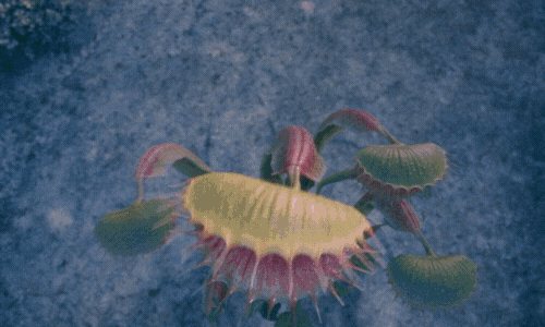 Venus Fly Trap Screaming Woo Hoo GIF