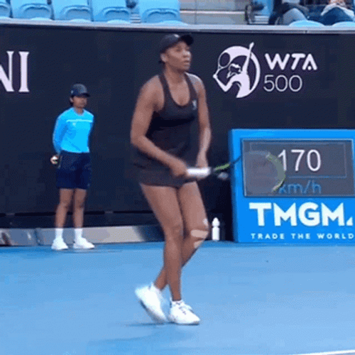 Venus Williams Fist Pump GIF