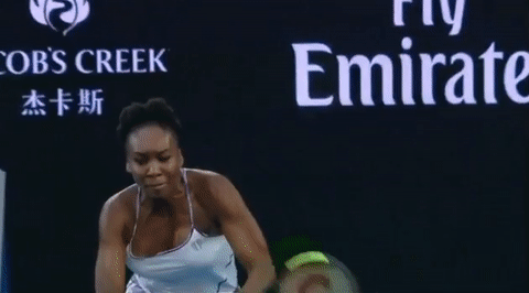 Venus Williams Tennis Ball Strike GIF